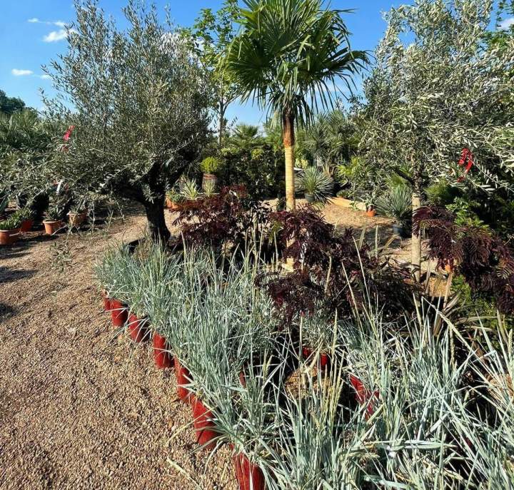 Travaux d'entretien de jardin Le Controis-en-Sologne