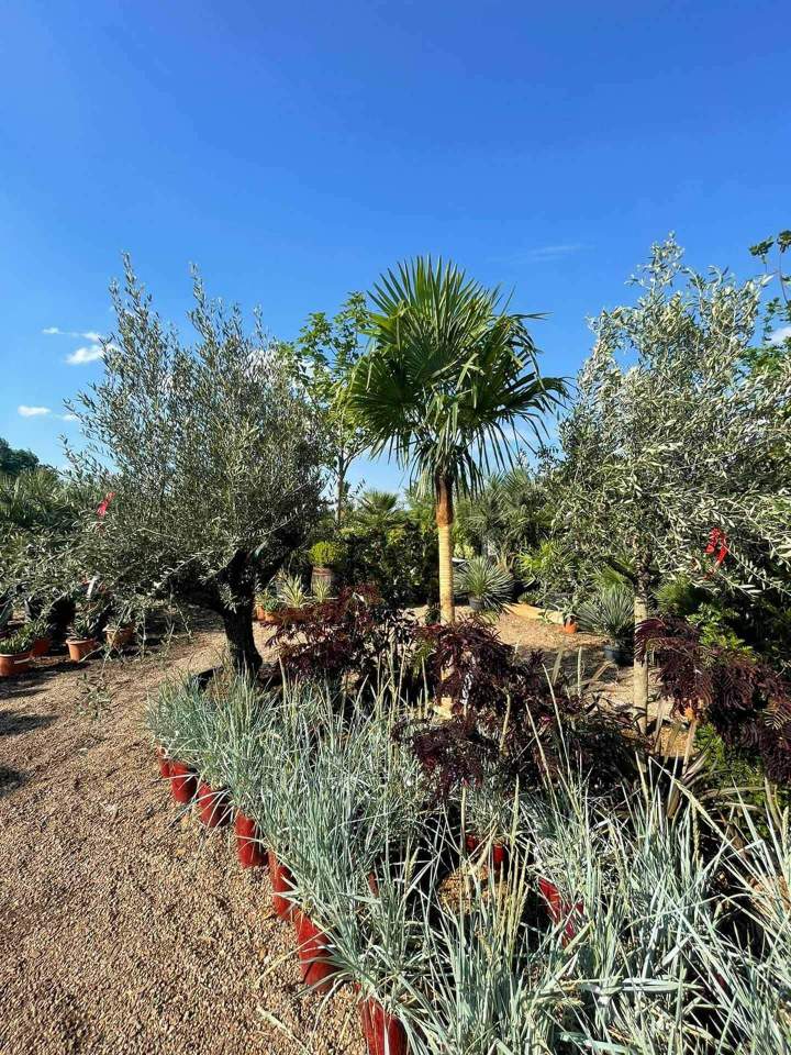Entretien de jardin Le Controis-en-Sologne