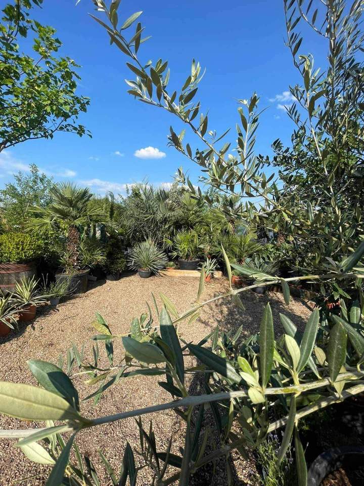 Travaux d'entretien de jardin Le Controis-en-Sologne