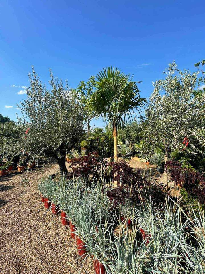 Création paysagère Le Controis en Sologne