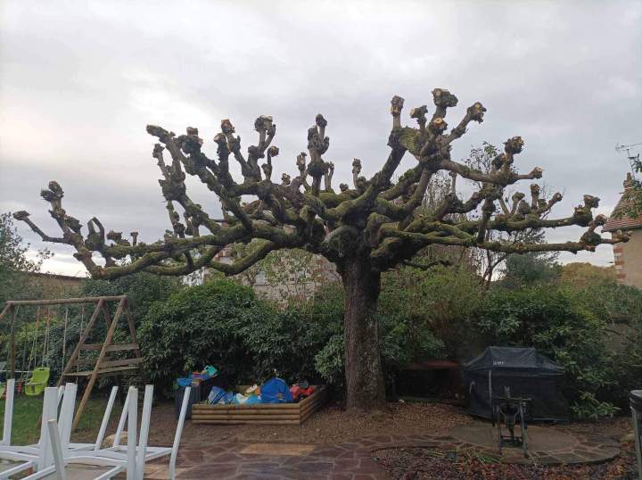 Entretien de jardin Le Controis en Sologne