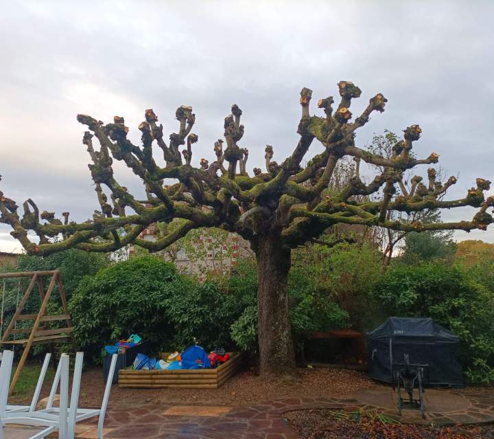 Entretien de jardin Le Controis-en-Sologne