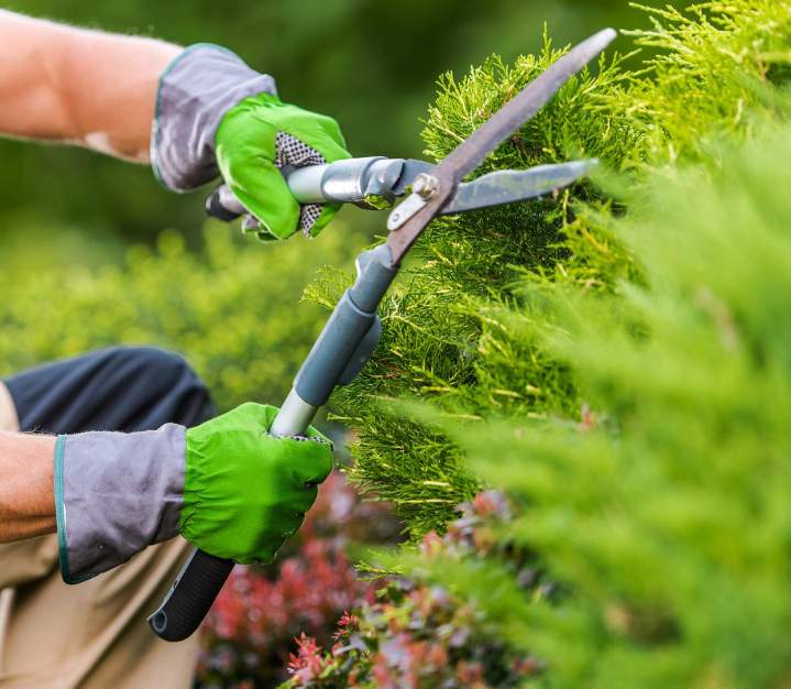 Aménagement d'espaces publics pour mairies et institutions